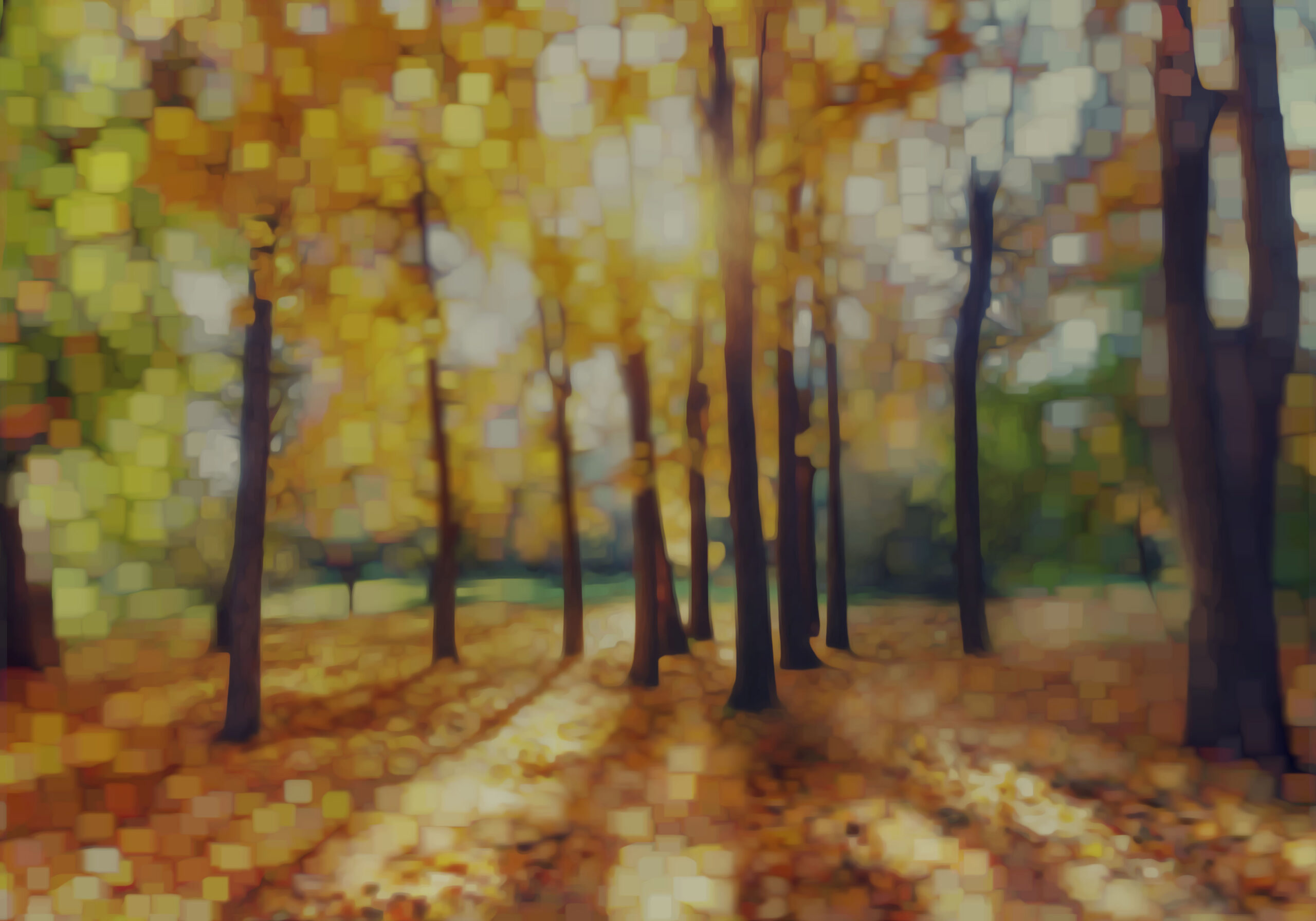 Autumn6