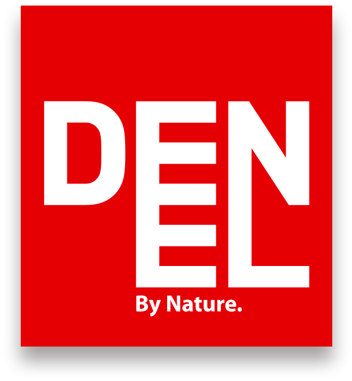 denel-logo